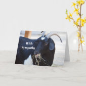 Niedliches Black Goat Foto Beileid Karte (Gelbe Blume)