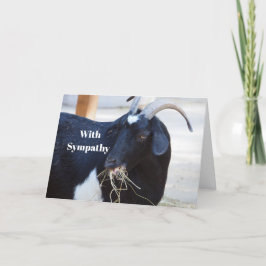 Niedliches Black Goat Foto Beileid Karte