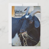 Niedliches Black Goat Foto Geburtstag Einladung (Vorderseite)