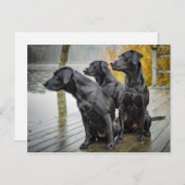 Niedliches Black Lab Dock-Foto Postkarte (Vorne/Hinten)