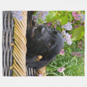 Niedliches Black Labrador Retriever Doppy Pet Foto Fleecedecke (Vorderseite (Horizontal))