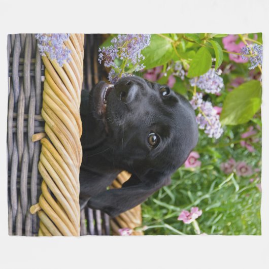 Niedliches Black Labrador Retriever Doppy Pet Foto Fleecedecke (Vorderseite (Horizontal))
