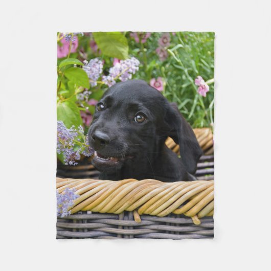 Niedliches Black Labrador Retriever Doppy Pet Foto Fleecedecke (Vorderseite)