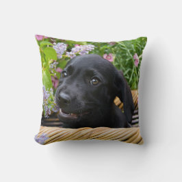 Niedliches Black Labrador Retriever Doppy Pet Foto Kissen