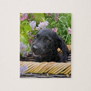 Niedliches Black Labrador Retriever Doppy Pet Foto Puzzle