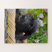 Niedliches Black Labrador Retriever Doppy Pet Foto Puzzle (Horizontal)