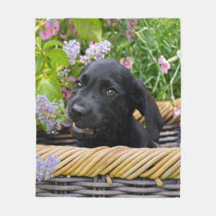 Niedliches Black Labrador Retriever Doppy Puppy Fo Fleecedecke