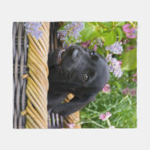 Niedliches Black Labrador Retriever Doppy Puppy Fo Fleecedecke (Vorderseite (Horizontal))