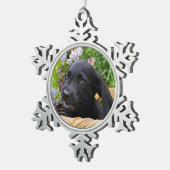 Niedliches Black Labrador Retriever Doppy Puppy Fo Schneeflocken Zinn-Ornament (Rechts)