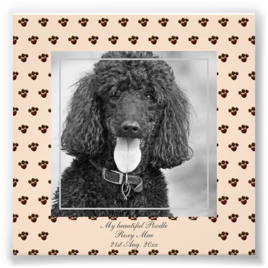 Niedliches Black Poodle Hunde FOTO mit dem Namen K (Vorne)