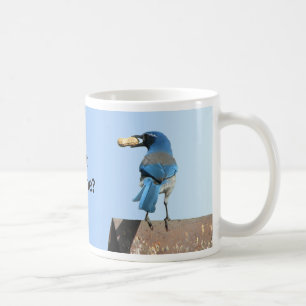 Niedliches Blau scheuert Jay-Vogel u. Erdnuss Kaffeetasse