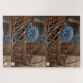 Niedliches blaues Kätzchen-Puzzle. Puzzle (Horizontal)