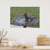 Niedliches Blue Jay Bird Baden Spiegeland Poster (Küche)