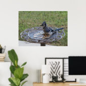 Niedliches Blue Jay Bird Baden Spiegeland Poster (Heimbüro)