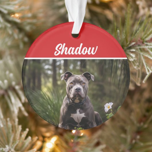 Niedliches Bluenose Pitbull Dog Weihnachtsfest Fot Ornament (Baum)