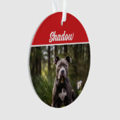 Niedliches Bluenose Pitbull Dog Weihnachtsfest Fot Ornament (Vorderseite)