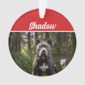 Niedliches Bluenose Pitbull Dog Weihnachtsfest Fot Ornament (Vorderseite)