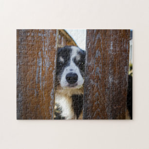 Niedliches Border Collie Dog Portrait Puzzle