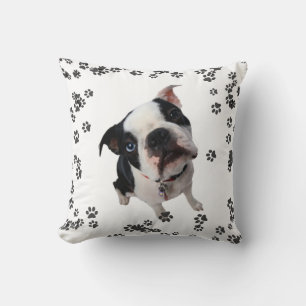Niedliches Boston Terrier Hundeschmuckkissen Kissen