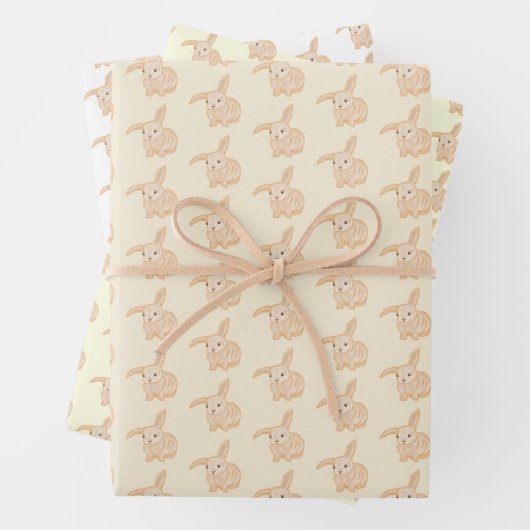 Niedliches Braun Bunny Rabbit - transparente Muste Geschenkpapier Set (Beispiel)
