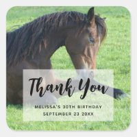 Niedliches braunes Pferd im Gras-Party dank