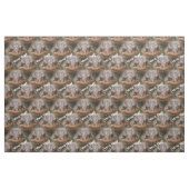 Niedliches braunes Toad-Gesicht Tiermuster Stoff (Yard (91,4 cm))