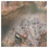 Niedliches braunes Toad-Gesicht Tiermuster Stoff (Nahaufnahme)