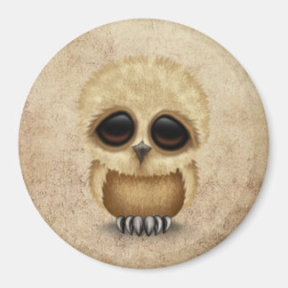 Niedliches Brown Baby Owl Chic auf gealterter Text Magnet