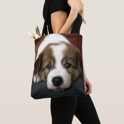 Niedliches Brown und weißer Welpe Tasche (Von Nahem)