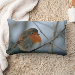 Niedliches Brust-Vogel-Foto Robins rotes Lendenkissen
