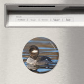 Niedliches Büffelköpfchen in sonnenbeleuchteten Ge Magnet (In Situ (Geschirrspüler))