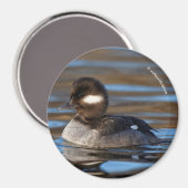 Niedliches Büffelköpfchen in sonnenbeleuchteten Ge Magnet (Vorderseite/Rückseite)