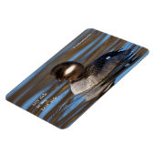 Niedliches Büffelköpfchen in sonnenbeleuchteten Ge Magnet (Linke Seite)