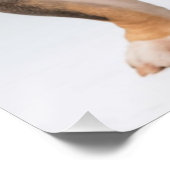 Niedliches Bulldog Doster Mauer Poster (Ecke)