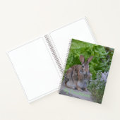 Niedliches Bunny Doodle Book Notizblock (Innenseite)