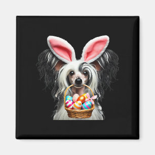 Niedliches Bunny Ohr Chinesisch gezaubert Hunde Os Magnet