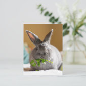 Niedliches Bunny Rabbit Eating Veggies Postkarte (Stehend Vorderseite)