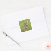 Niedliches Bunny Rabbit Quadratischer Aufkleber (Umschlag)