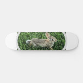 Niedliches Bunny Rabbit Skateboard (Horizontal)