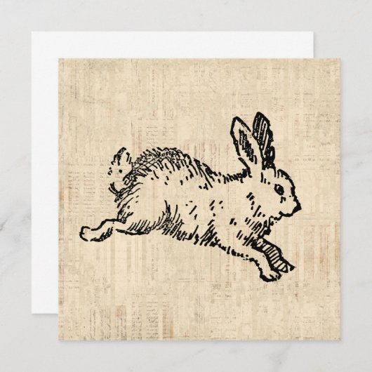 Niedliches Bunny Rabbit Vintage Illustration Einladung (Vorne/Hinten)