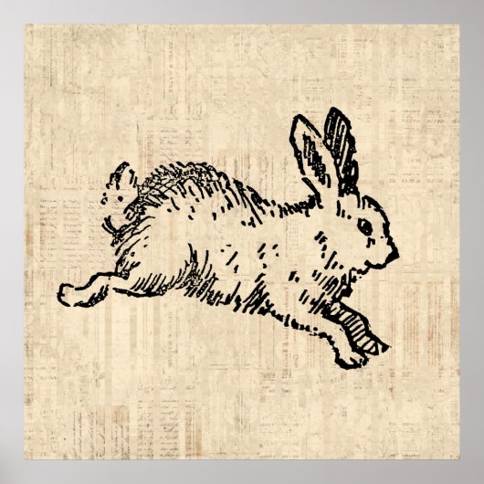 Niedliches Bunny Rabbit Vintage Illustration Scrip Poster (Vorne)