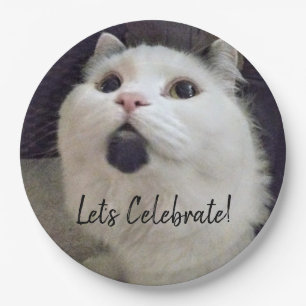 Niedliches Cat Birthday Party Custom Pet Foto Pappteller