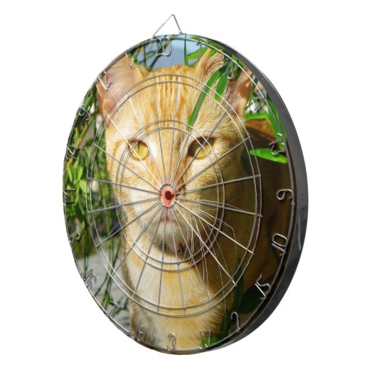 Niedliches Cat Dartboard! Dartscheibe (Vorderseite rechts)