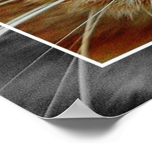 Niedliches Cat Face Collage Poster (Ecke)