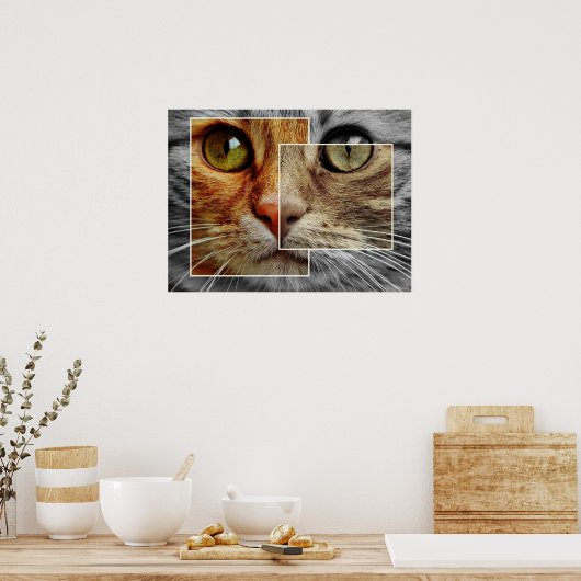 Niedliches Cat Face Collage Poster (Küche)
