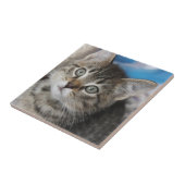 Niedliches Cat-Foto Fliese (Seite)
