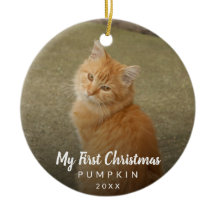 Niedliches Cat Foto Mein erstes Weihnachtskript