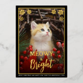 Niedliches Cat Foto & Schneeflocken Haustier Folien Feiertagskarte (Vorderseite)