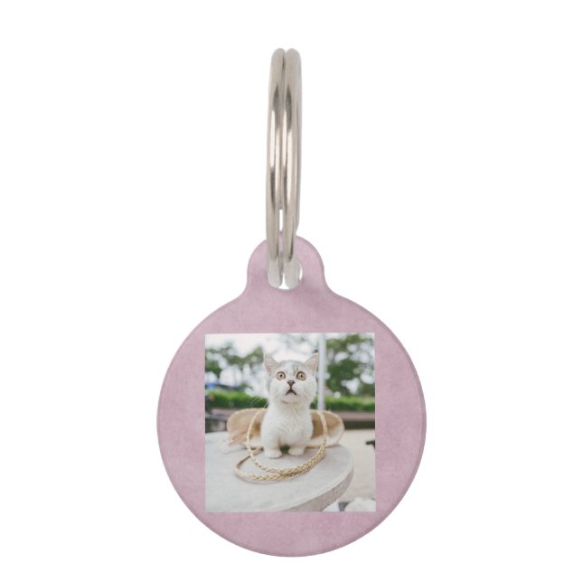 Niedliches Cat-Foto und QR-Code | Pink Cat Pet ID  Haustiermarke (Vorderseite)