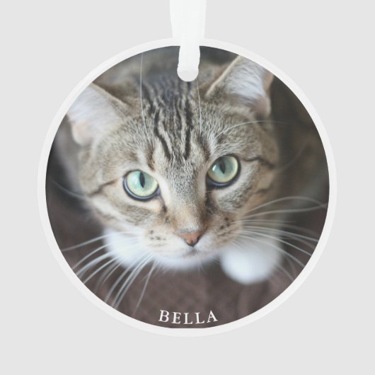 Niedliches Cat Foto Weißer Ornament Whiskers (Rückseite)